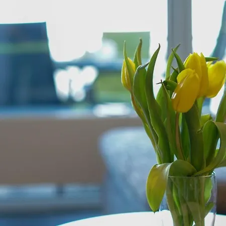 Duenenpark-heiligenhafen-haus-meerduene-wohnung-deck-8